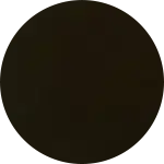 Mobile Alabama black aluminum fence company