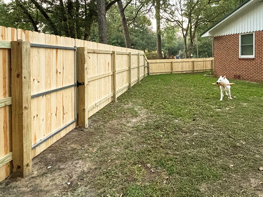 Pet fencing benefits in Mobile Alabama