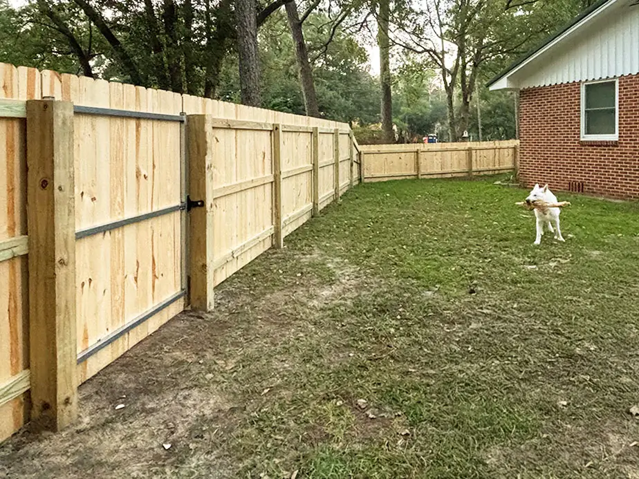 Pet fencing benefits in Mobile Alabama